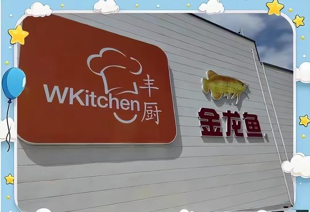 新加坡总理公开支持高市后，被罚18亿账单的金龙鱼，凉得更快了