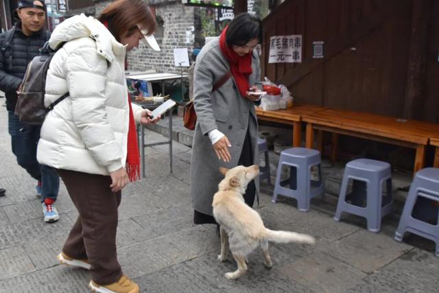 黔粤联动，代言凯里！14位网络达人成为文旅新势力