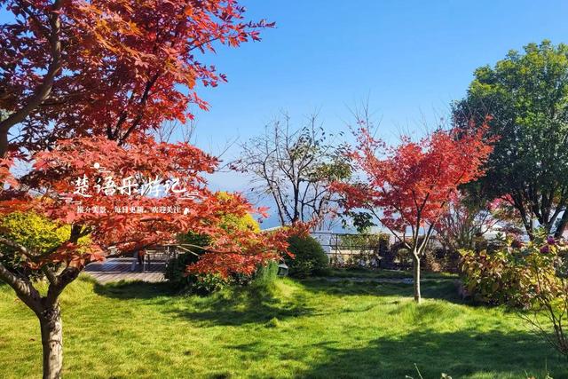 雪窦山深处的古村，周边的红枫胜境太美了，弥勒大佛观景地是亮点