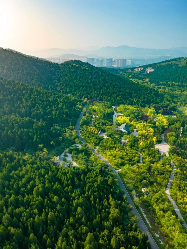 济南首条云巴正式运营，沿途周边游攻略快来get！