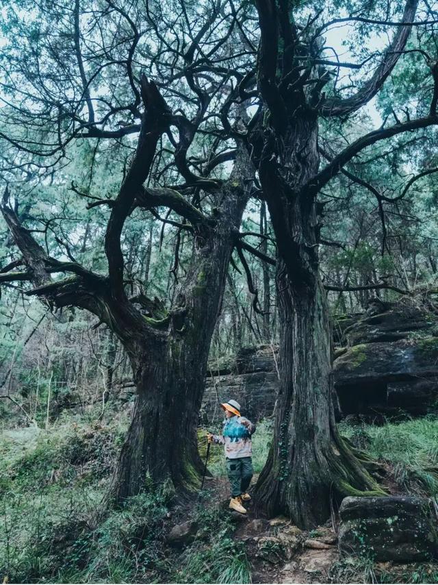 剑门秋意浓！速来解锁剑门秋意的N种玩法