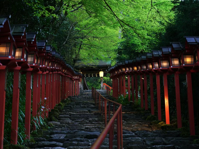 风向突变，第一批去日韩旅游的人，已经被“照骗”整破产了？