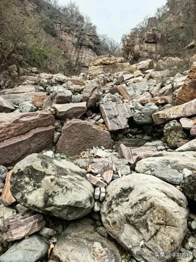 爬草双（外一首）｜ 罗锋