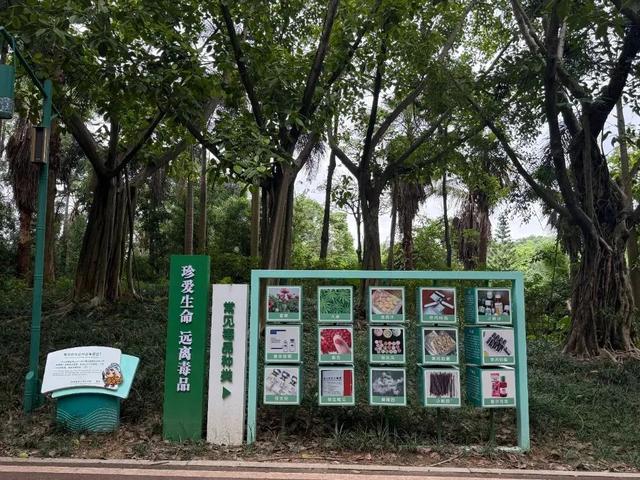 广西首个双语禁毒主题公园！邕仔陪你闯关，遛娃涨知识两不误～