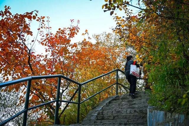 现在，香山“秋日皮肤”已加载85%！来查收