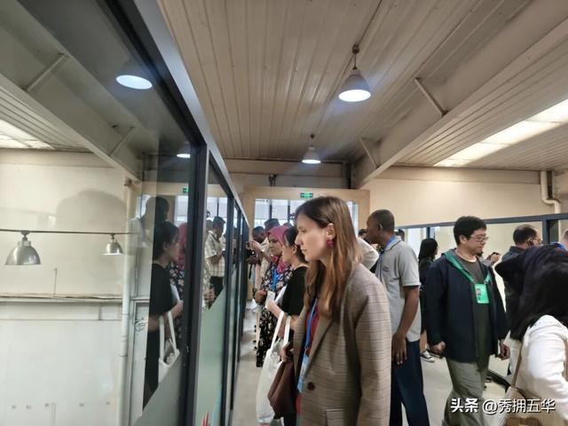 外媒嘉宾盛赞昆明：一步一风景 处处花盛开