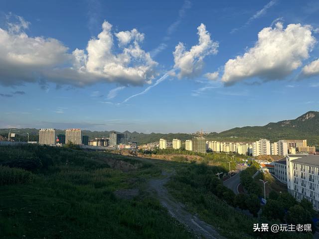 疆藏云贵行94，百里杜鹃
