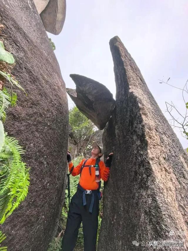 一步一景，奇石不断！温州这处奇石纷呈的的免费景区你可去过？