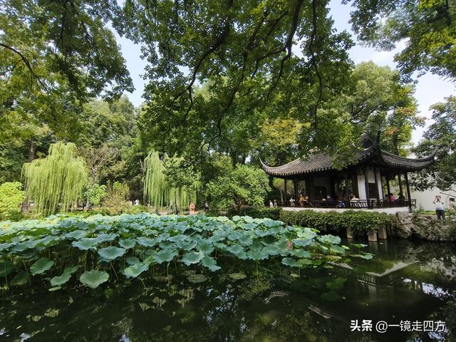 临近国庆，在还很闷热的天气里，游览市内现存最大的园林拙政园