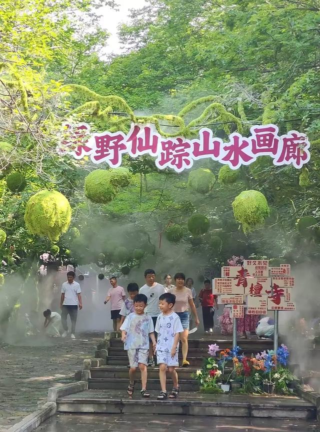 雨洗青檀，仙境初现！这场限定美景，只为你邂逅！