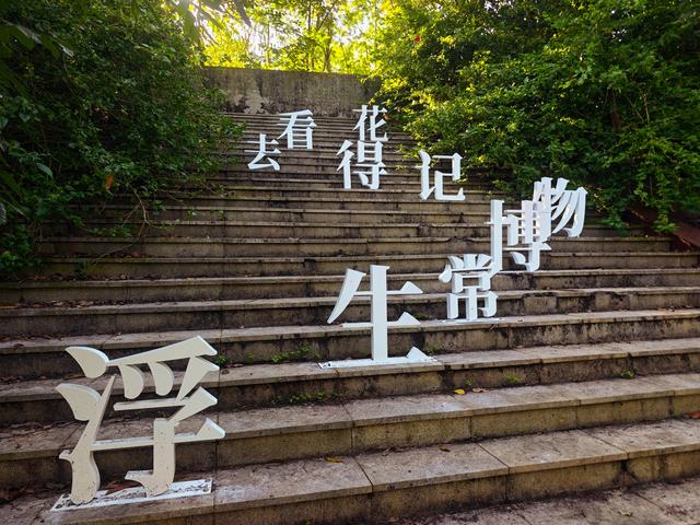 塘朗山郊野公园[绿平二路入口]骑行爬坡好地方