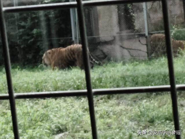 走进长春