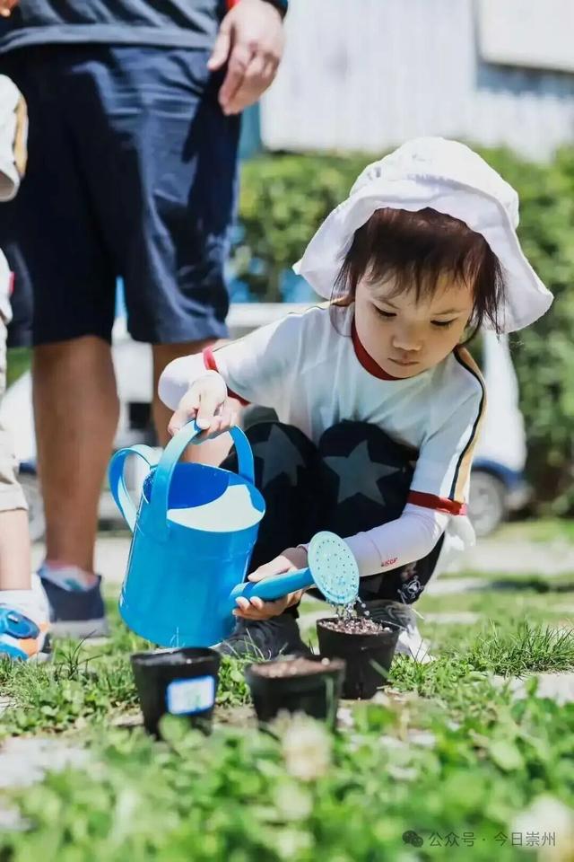 秋假去哪？崇州这些亲子游宝藏地不容错过