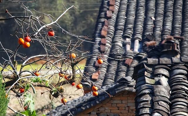 “上午立秋把扇丢，下午立秋热死牛”，今年立秋几点？有啥讲究？