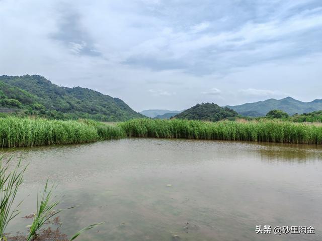 亭下湖