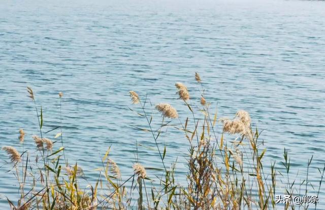 冀南新区独有的初冬韵味