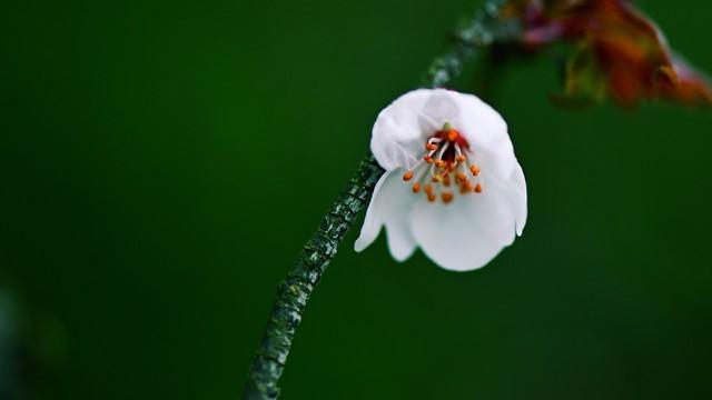 人过五十，永远不要在熟人面前，说以下6句话：谁说谁后悔！
