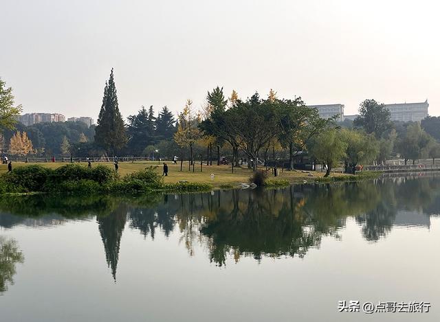 成都城市中的草原牧场，彩林比阿勒泰还美，公交车地铁直达！