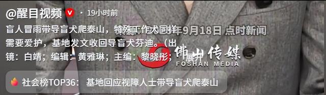 带导盲犬爬泰山的夫妻被网友批评，导盲犬芬迪看着非常累