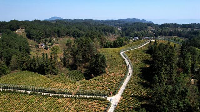 江津关胜：岁月沉淀的土地