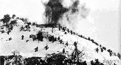 毛泽东为何派毛岸英去抗美援朝，时隔70年，刘思齐终于说出原因！