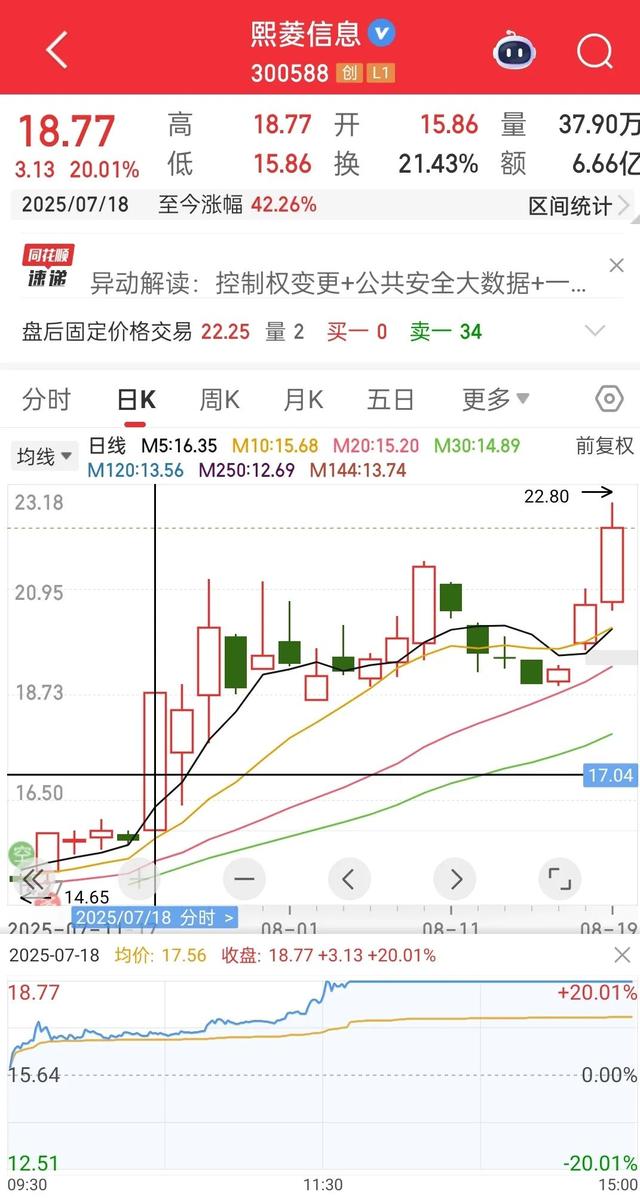 熙菱信息总经理岳亚梅被留置