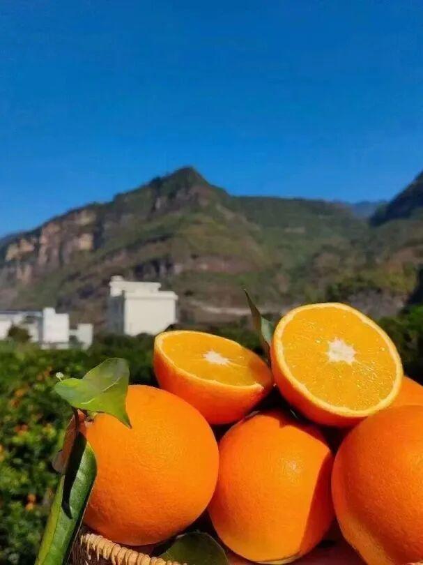 被一阵风吹来了大凉山，不想离开了！