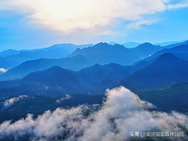 云海翻涌，薄雾缭绕，在黑河山间邂逅“山林仙境”
