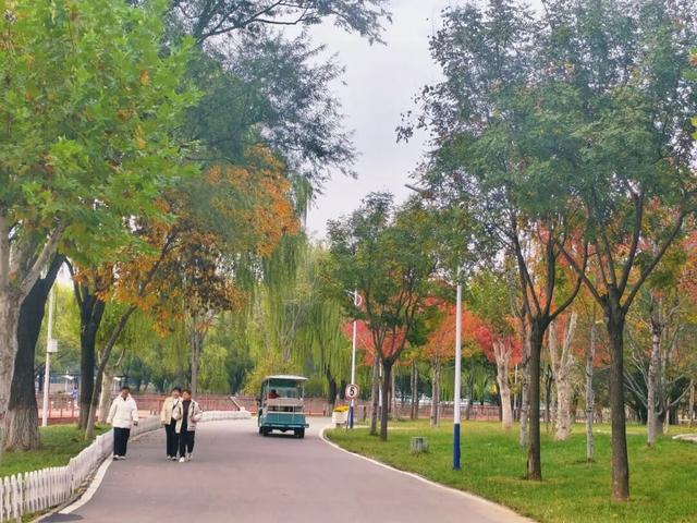 秋韵满园！石家庄市植物园赏秋攻略，请查收→