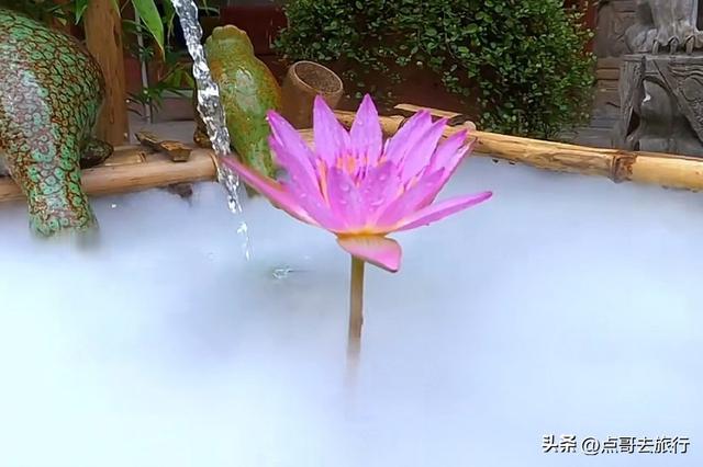 成都邛崃低调的花园寺庙，充满人间烟火，高铁公交直达！