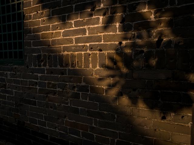 冬日暖阳下的清真寺