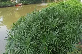 病号入住医院，陪护人员的尴尬图片