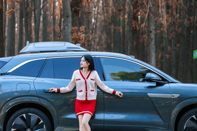 冬日寻一处静谧：与唐L同游棕树小道纪实