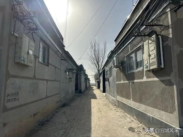 冠县乡韵·辛集镇饮马庄