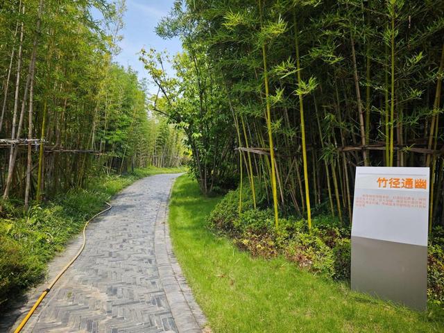成都青羊：蔡桥公园建成开放 航空国创中心产业园“长出软配套”