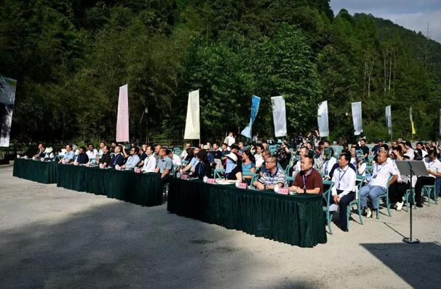 第24次国际洞穴科学考察在十二背后双河洞景区举办！