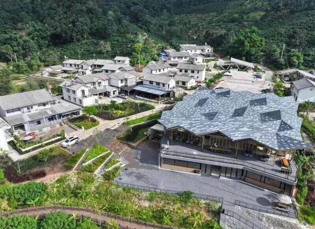 倒计时7天！解锁2025普洱茶咖博览会的N种宝藏玩法