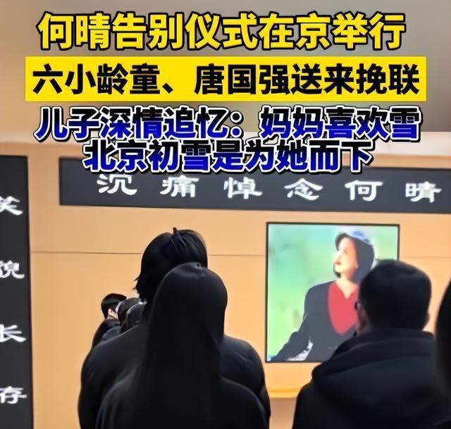 何晴头七刚过尸骨未寒，恶心事接连发生，遭殃的何止是前夫许亚军