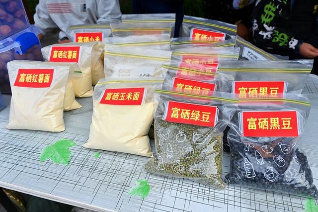 盂县仙人乡垴上村第十届红薯丰收季活动启动