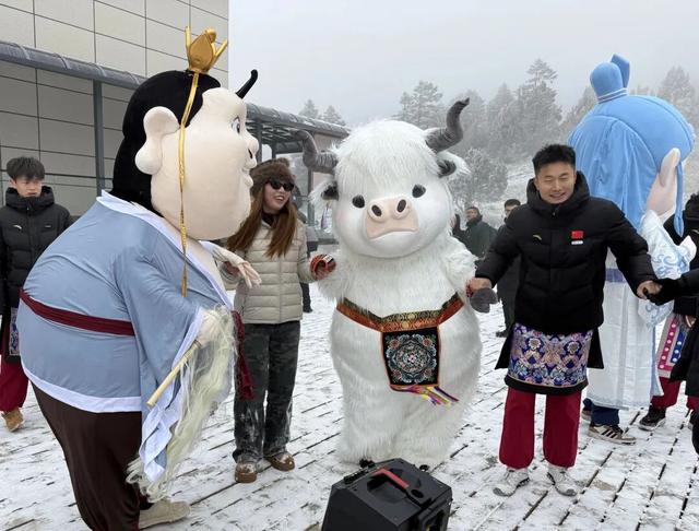 陇南，在冰瀑与雪野之间。