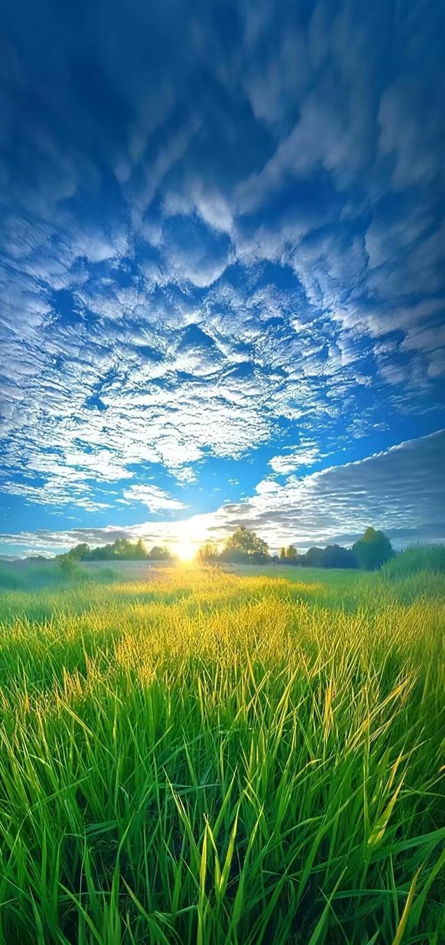 #治愈系风景 #全屏高清手机壁纸