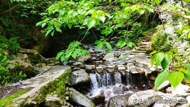 西安周边 | 这个秋天不可错过的宝藏旅行地！