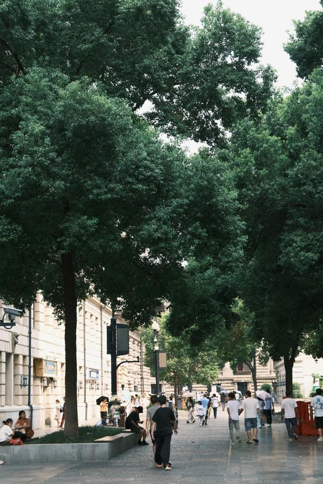 来，走进江汉路的林荫道