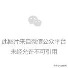 我等得花儿都...开了