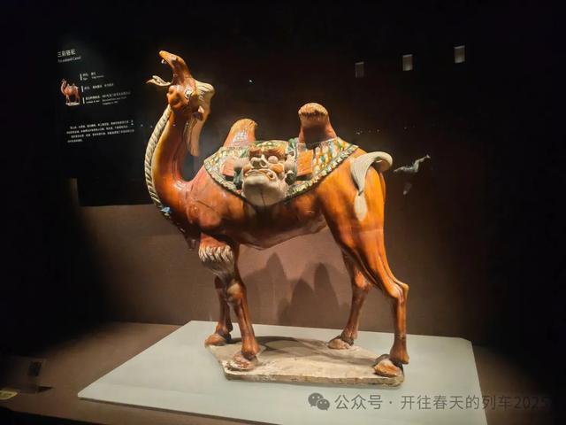 洛阳博物馆:于“鼎立天下”中触摸河洛文明的千年肌理