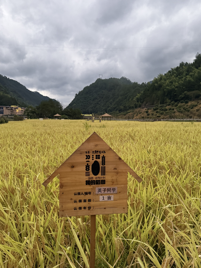 寻路屏南，茶盐古道今何在？