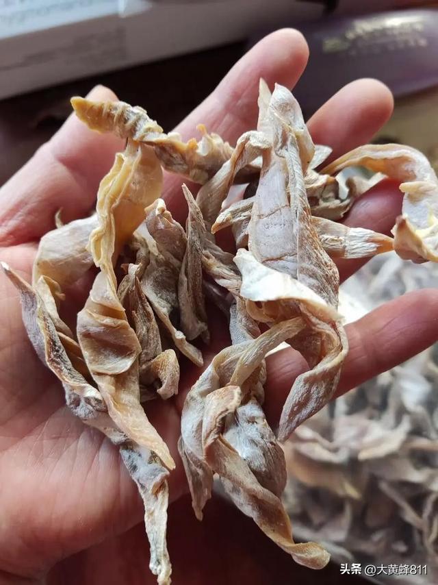 认识大美广东的每个县——第19波：龙门