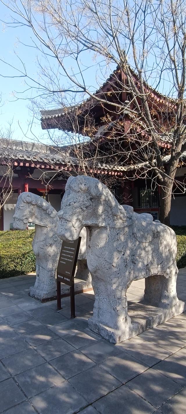 高陵昭慧塔文物展