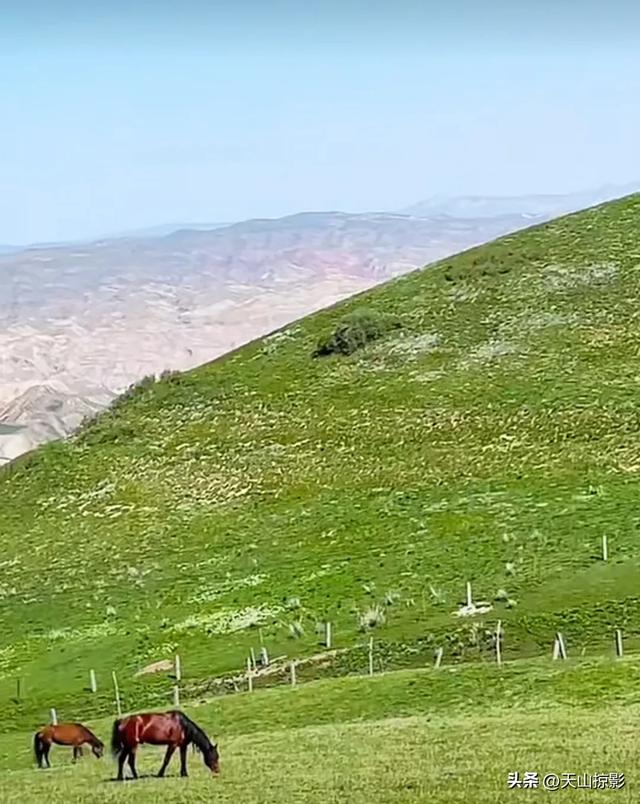 南山南