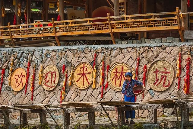 秋游走起！浙江2条精品线路获国家部委推介